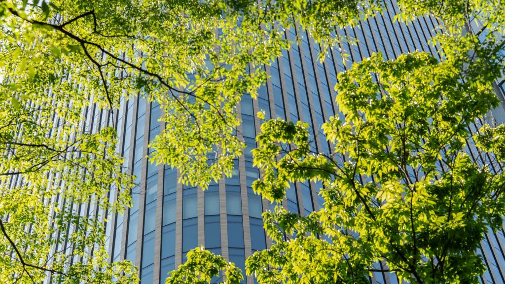 Limiro Hanum Advogados Escritório boutique especializado em Direito Empresarial, Imobiliário e Ambiental. Assessoria estratégica para construtoras, incorporadoras, loteadoras e agroindústria em todo o Brasil